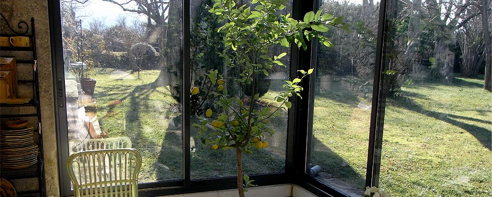 Conservatory looking onto front garden